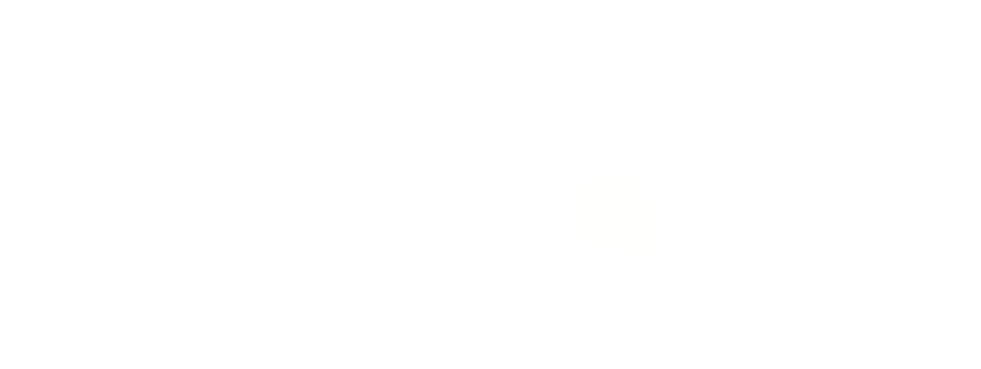 animated coin 2